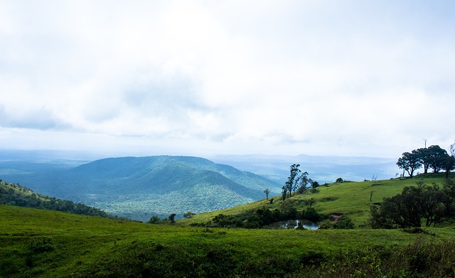 快船在本场 快船在本场