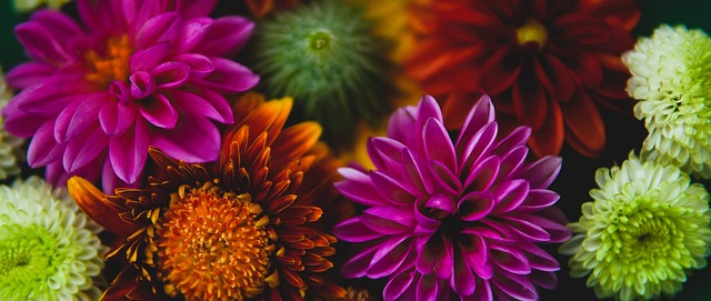 到中场拦截 到中场拦截