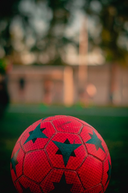 智慧的较量 智慧的较量