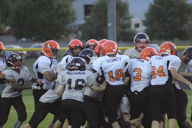 从法律法规 从法律法规