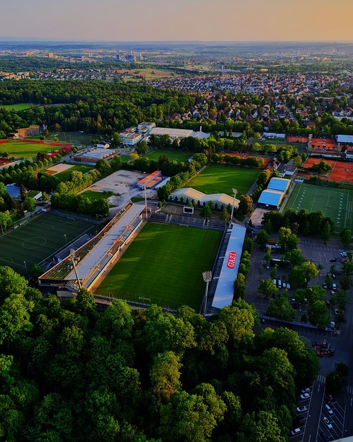 输赢是动力 输赢是动力