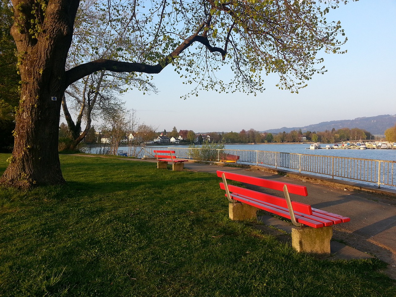 杰出表现 杰出表现