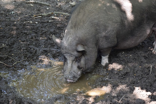 力值得我们 力值得我们