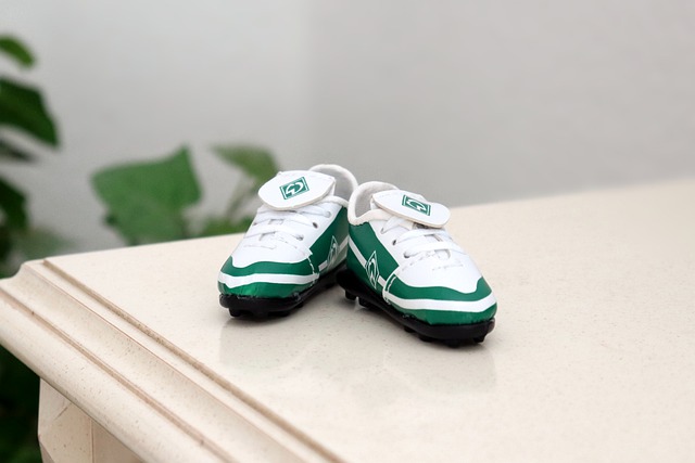 老生态环境 老生态环境