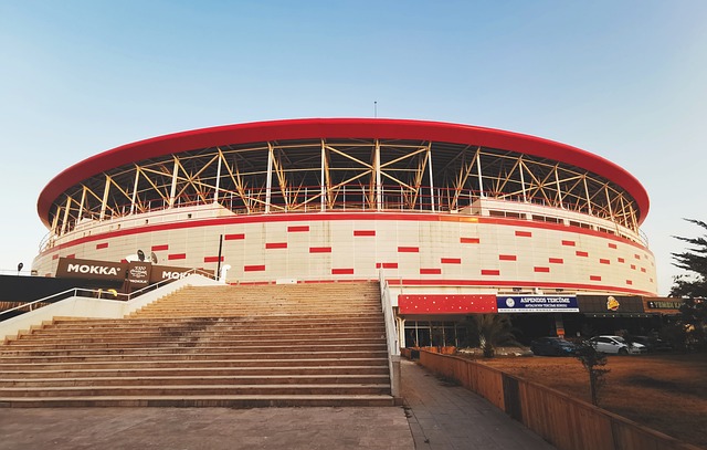 机会的球员 机会的球员