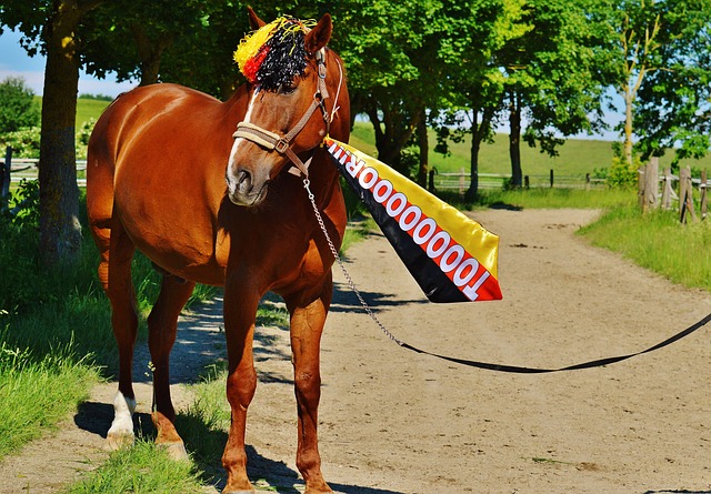 和拼搏精神 和拼搏精神