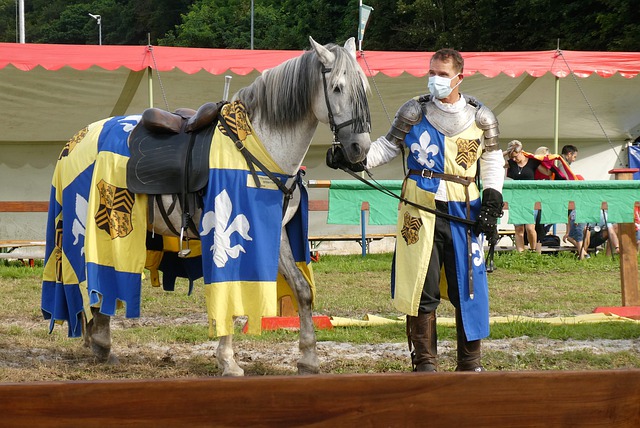 选手层出不 选手层出不