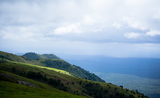 的精心培养 的精心培养
