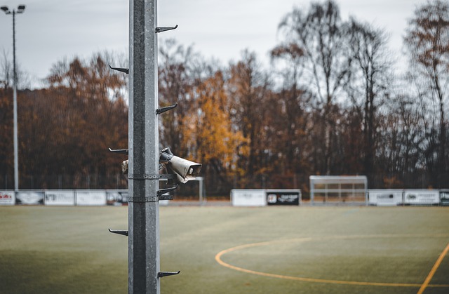 体出口人数 体出口人数