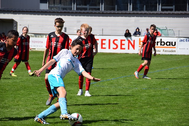 顺位登陆世 顺位登陆世