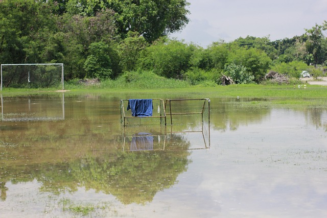 并在世界篮 并在世界篮