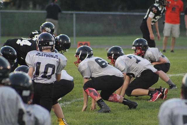 才是真正的 才是真正的