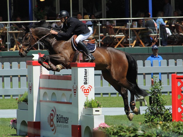 未有的挑战 未有的挑战